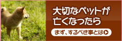 手元供養品のご案内